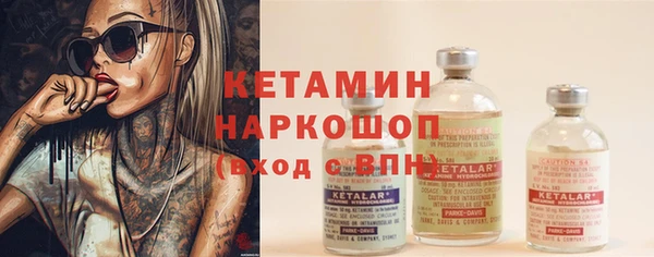 сатива Абинск