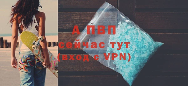 сатива Абинск