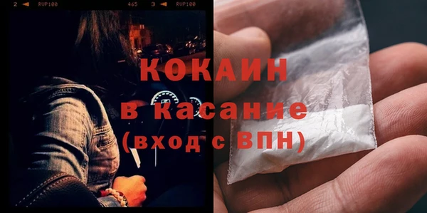 сатива Абинск