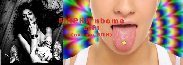хмурый Алзамай