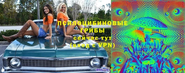 сатива Абинск