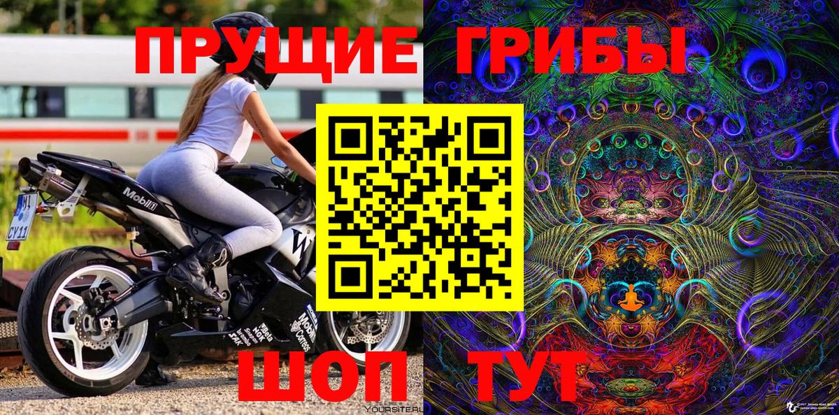 Псков  Галлюциногенные грибы Cubensis  Вход с VPN 
