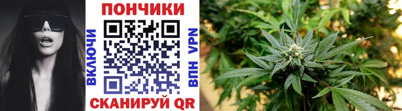 даркнет как зайти Псков Канабис семена