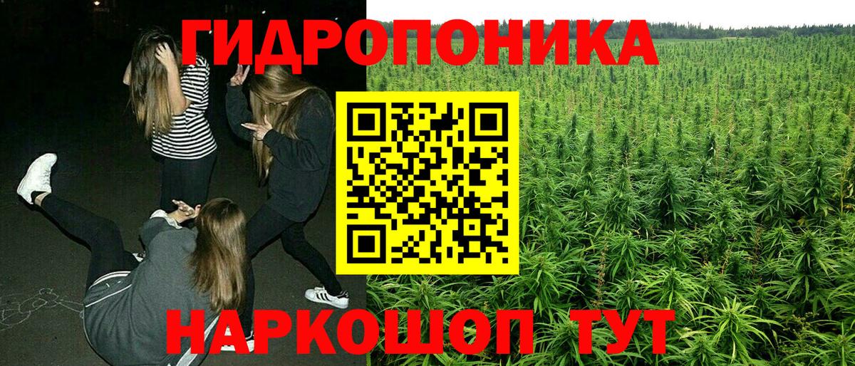 Псков  Каннабис VHQ  Марихуана конопля  Вход с VPN 
